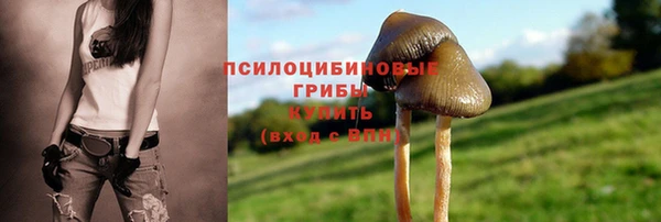 экстази Алексин